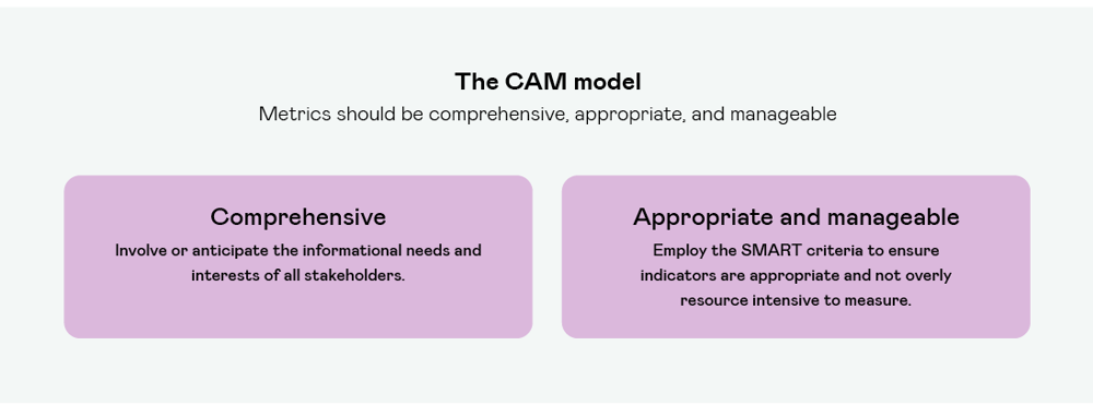 The CAM Model (1)